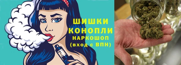 гидропоника Ельня