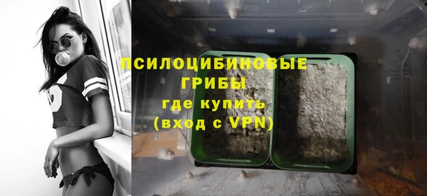 гидропоника Ельня
