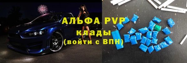 гидра Елабуга