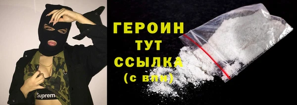 гидра Елабуга
