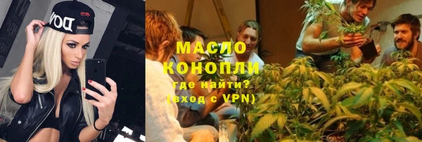гидра Елабуга
