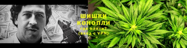 гидра Елабуга