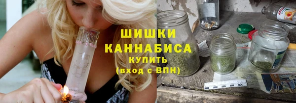 мдпв Дмитров