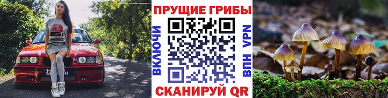 Галлюциногенные грибы Cubensis Новосиль